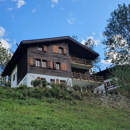 Chalet Carpe Diem Fieschertal Экстерьер фото