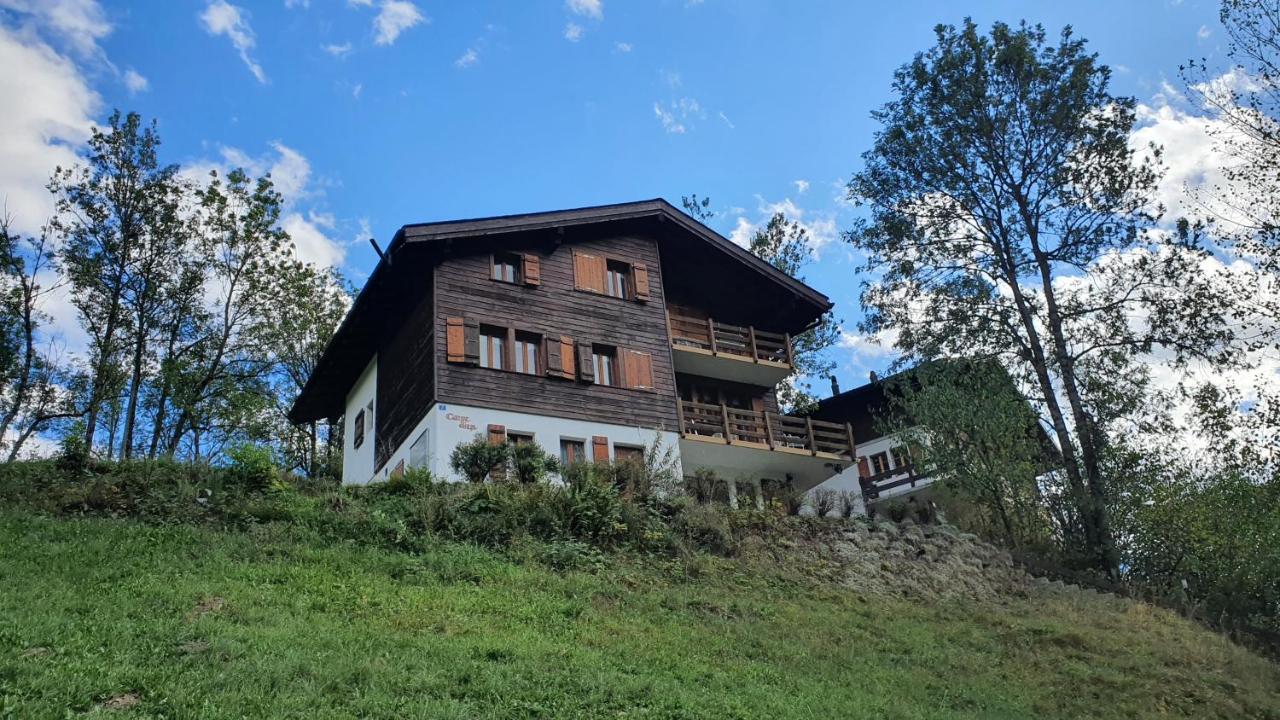 Chalet Carpe Diem Fieschertal Экстерьер фото