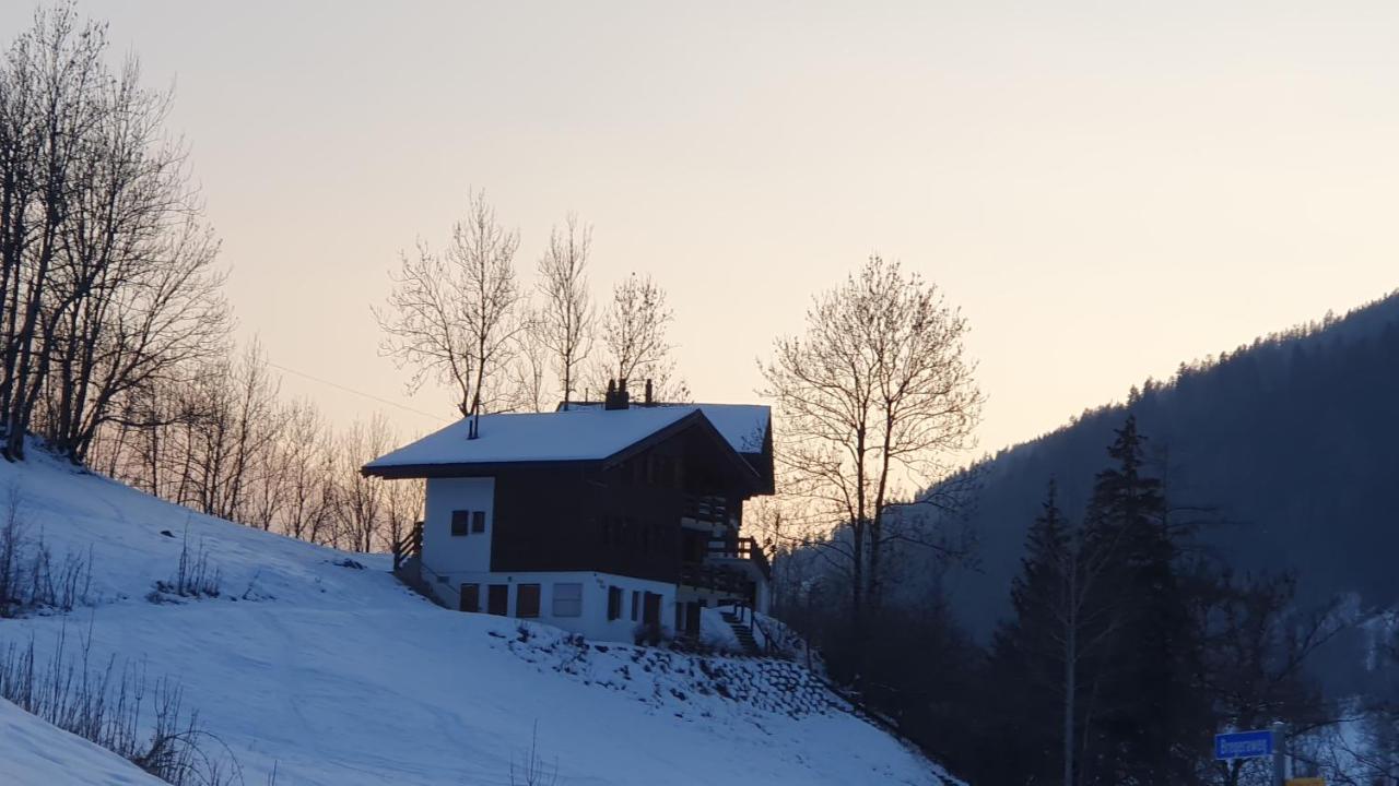 Chalet Carpe Diem Fieschertal Экстерьер фото