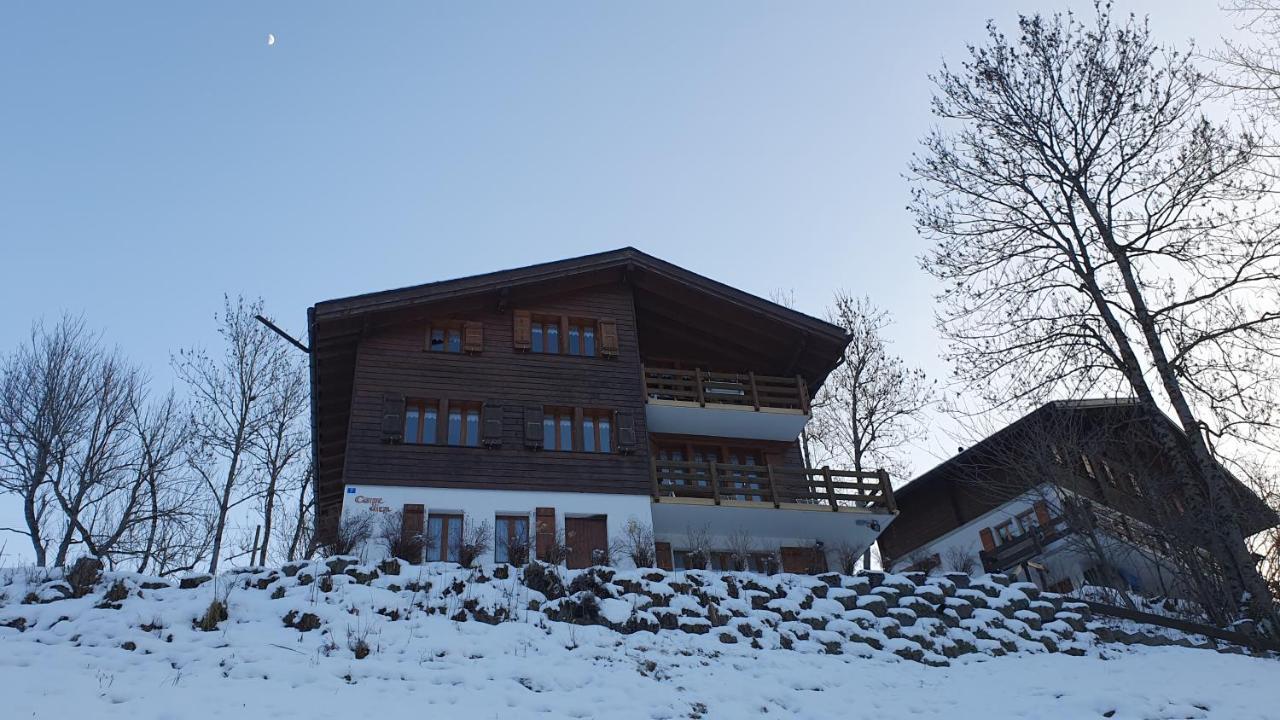 Chalet Carpe Diem Fieschertal Экстерьер фото